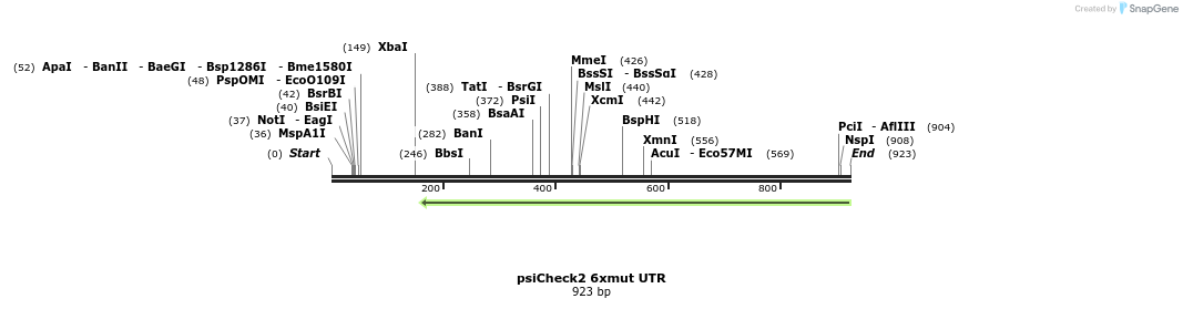 71882_map