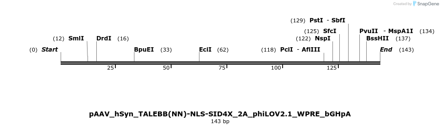 71893_map