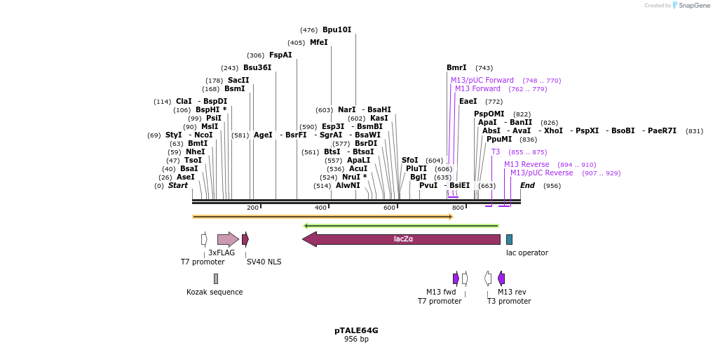 71897_map