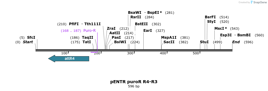 71898_map