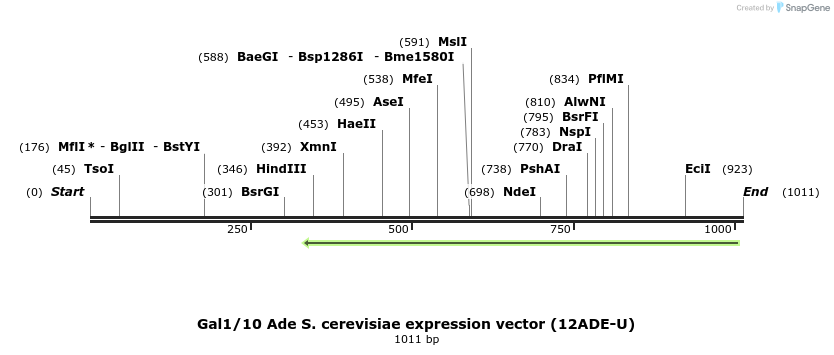 71921_map