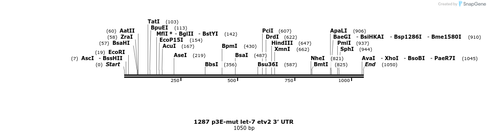 71941_map