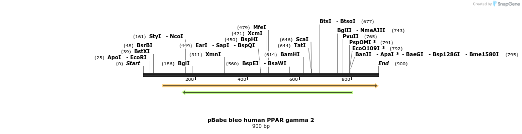 71953_map