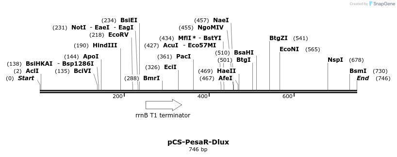 71962_map