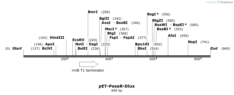 71967_map