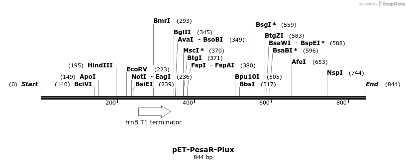 71969_map