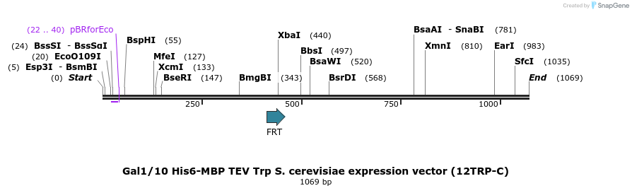 71971_map
