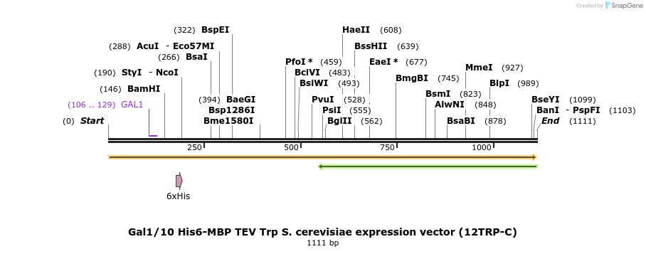 71974_map