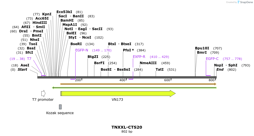 72003_map