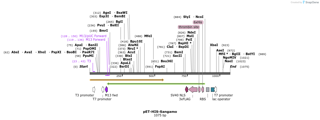 72004_map