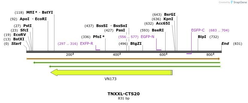 72005_map