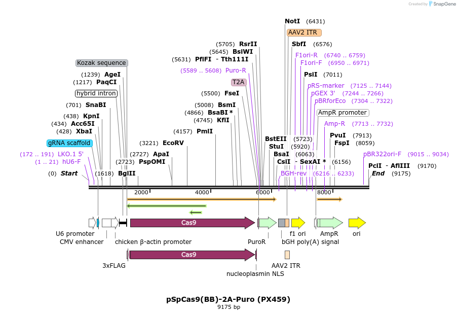 72022_map