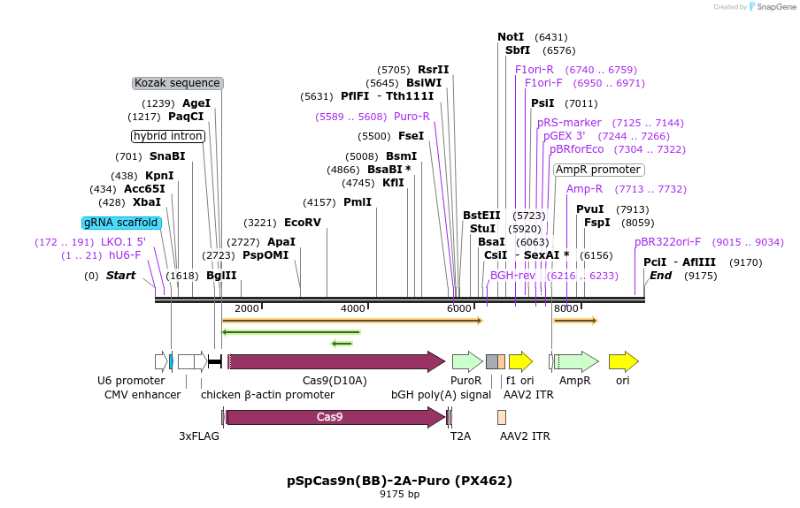 72024_map