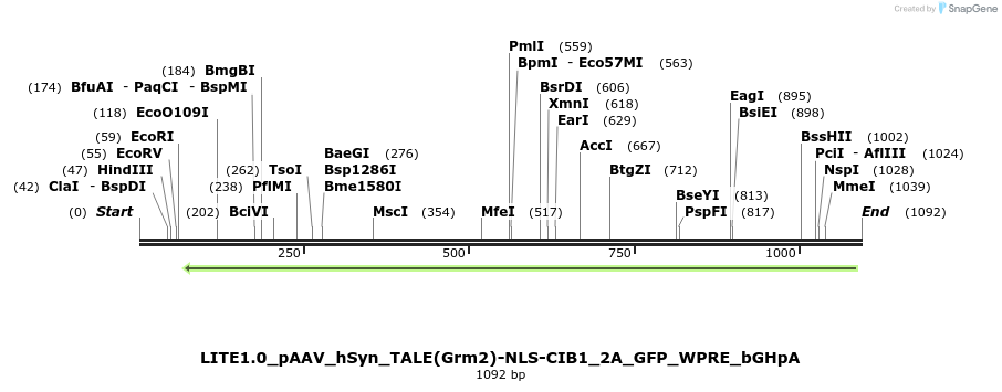 72026_map
