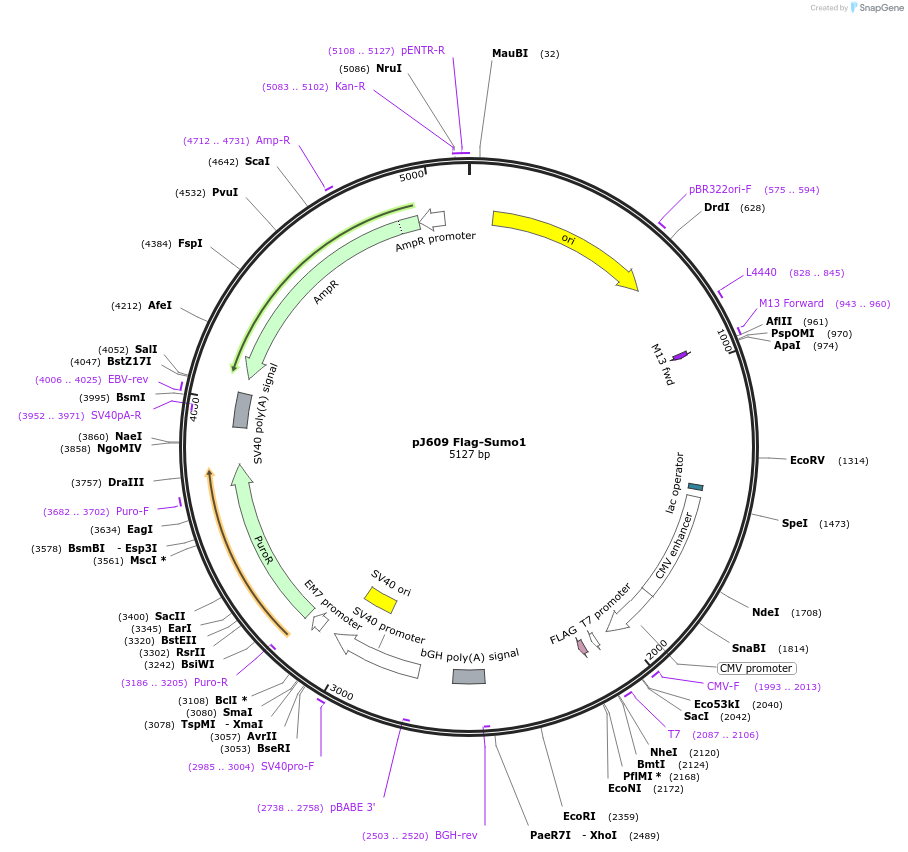 72029_map