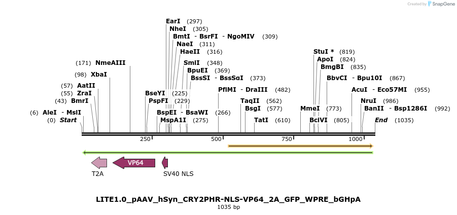 72031_map