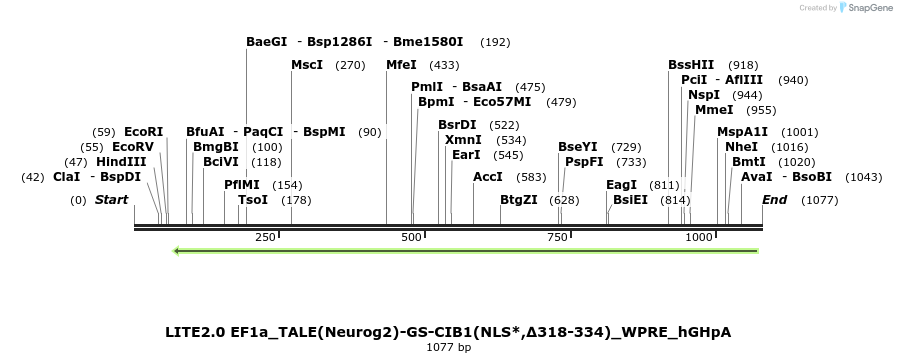 72032_map