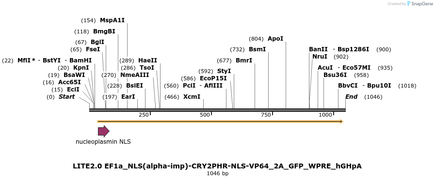 72033_map