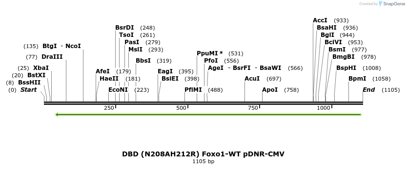 72036_map