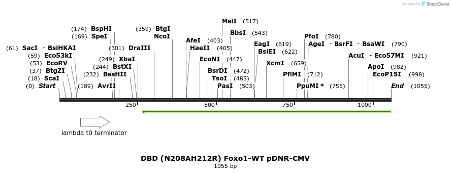72037_map