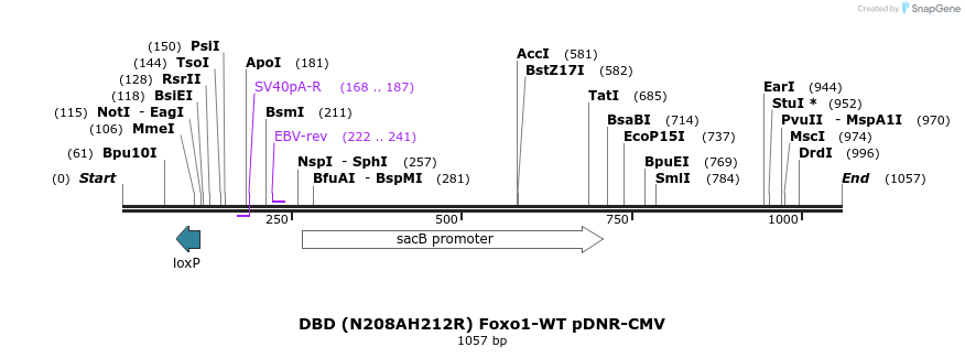 72038_map