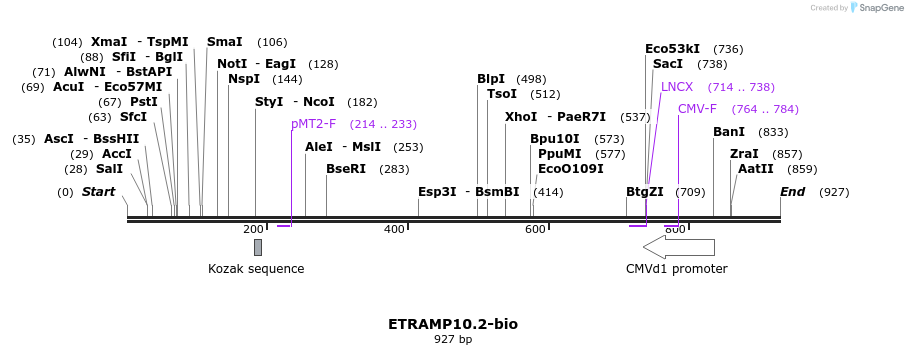 72044_map