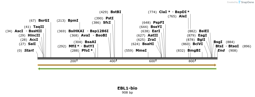 72047_map