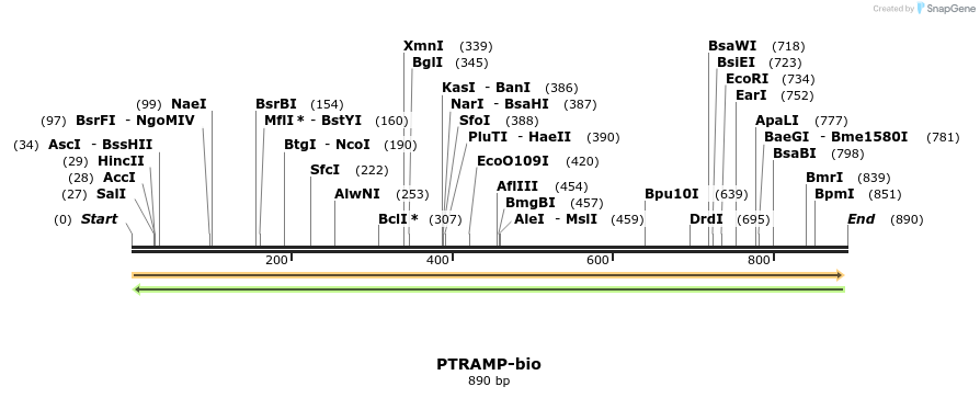 72051_map