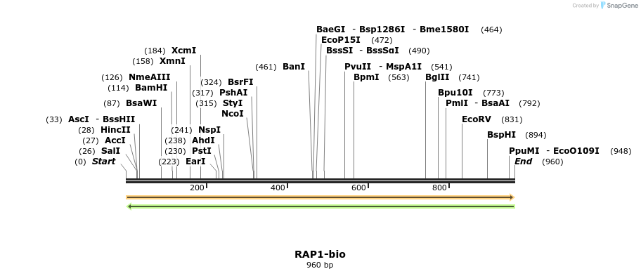 72053_map