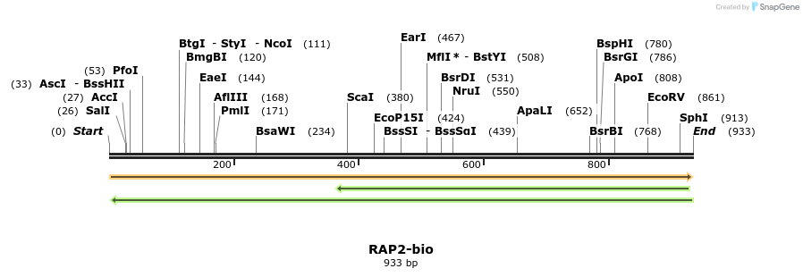 72056_map
