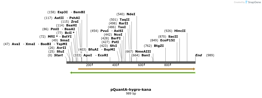72057_map