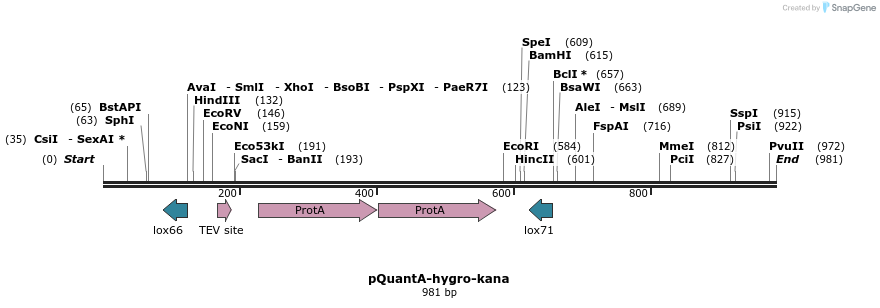 72059_map
