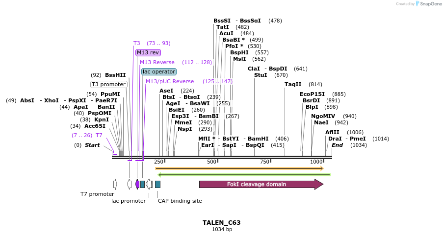 72063_map