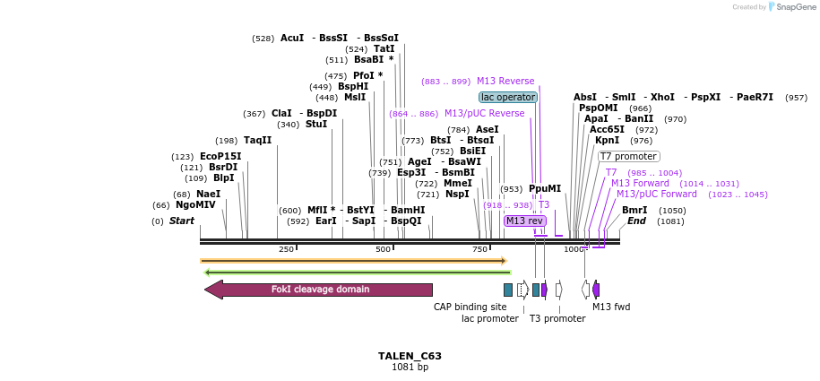 72064_map