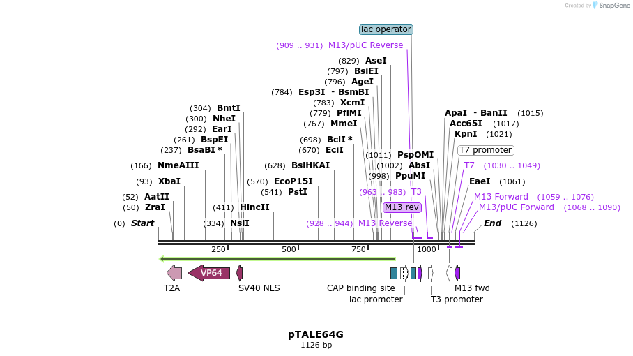 72069_map