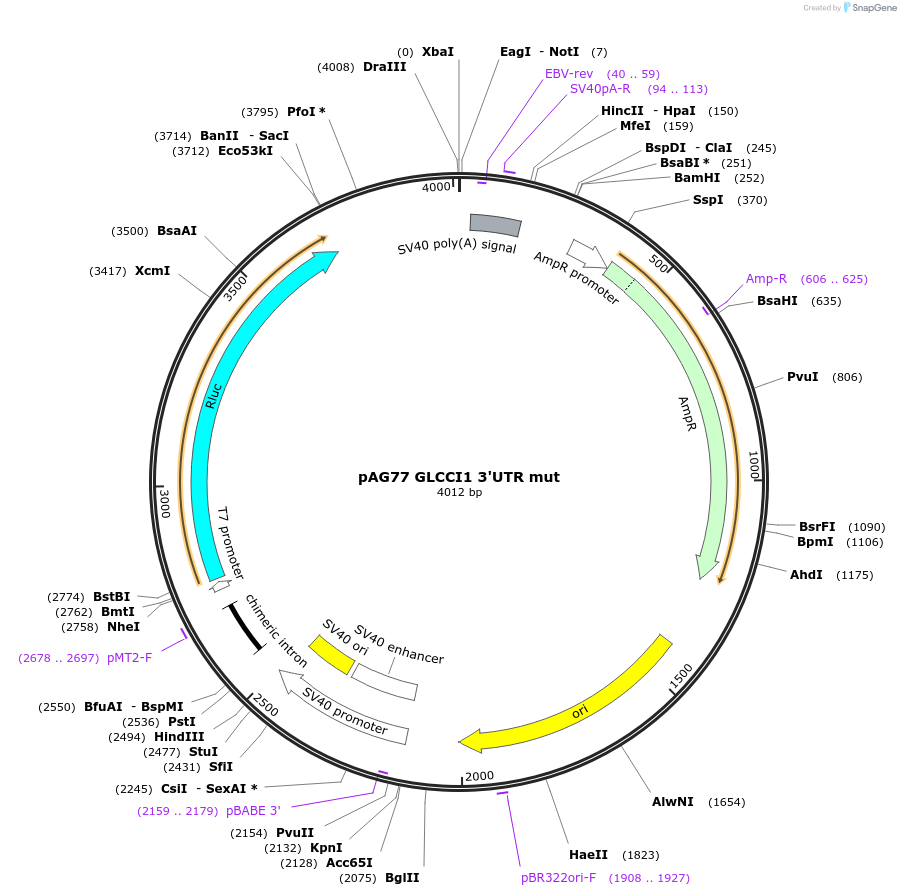 7207_map
