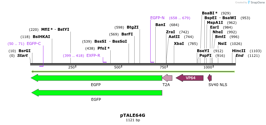 72070_map