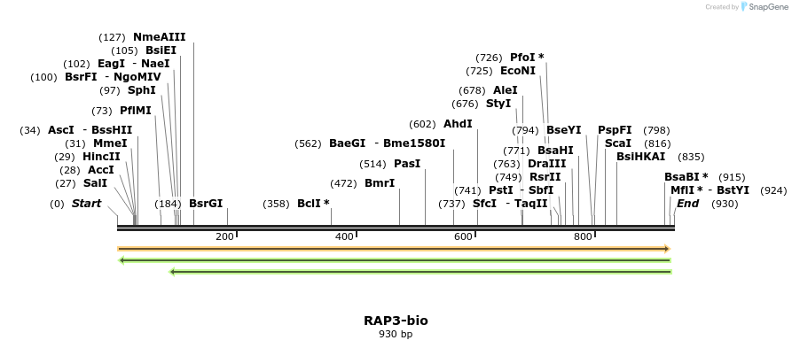 72071_map