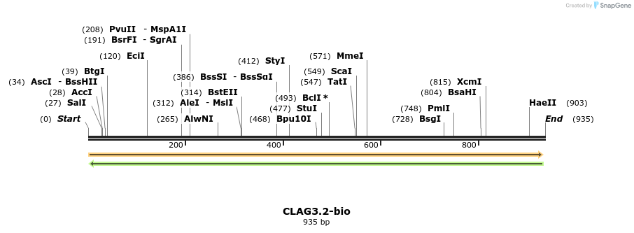 72072_map