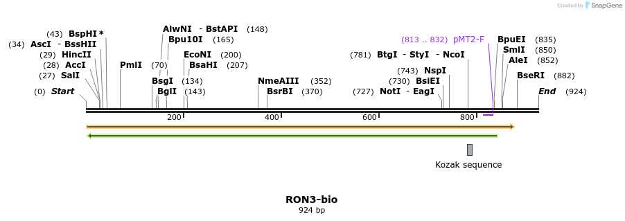 72074_map