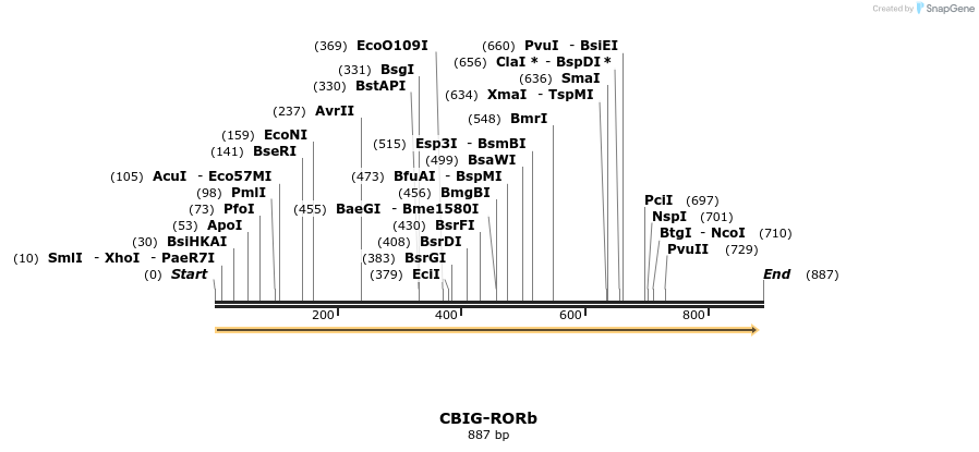 72075_map