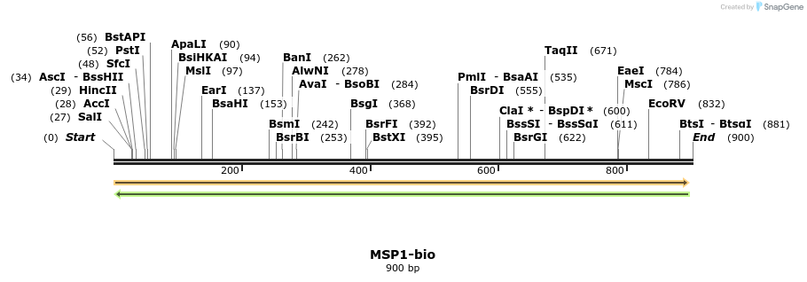 72077_map