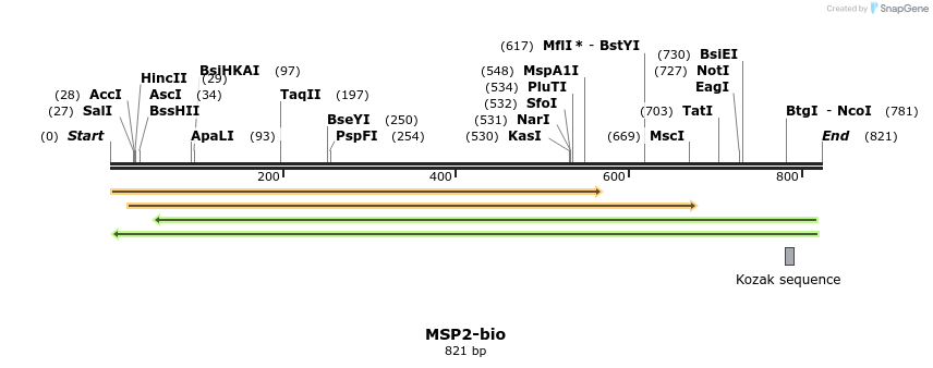 72078_map