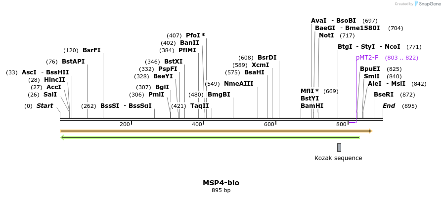 72079_map