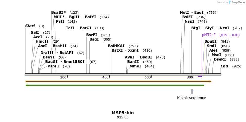 72080_map