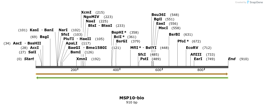 72081_map