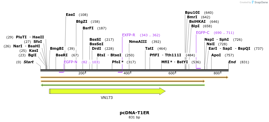 72083_map