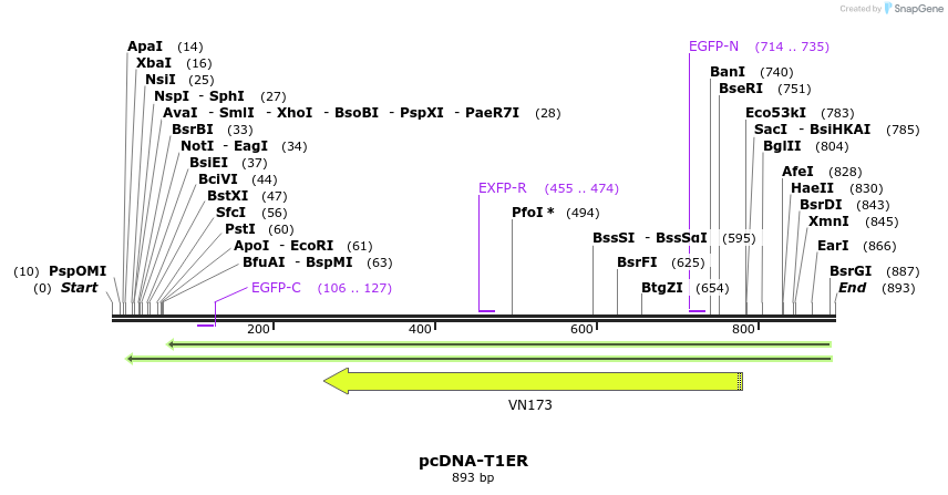 72084_map