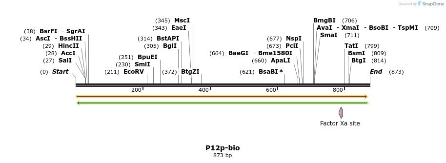 72085_map
