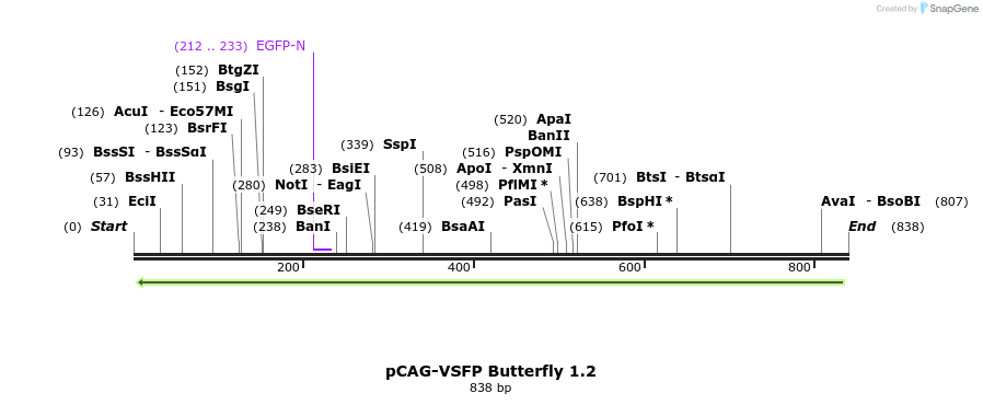 72086_map